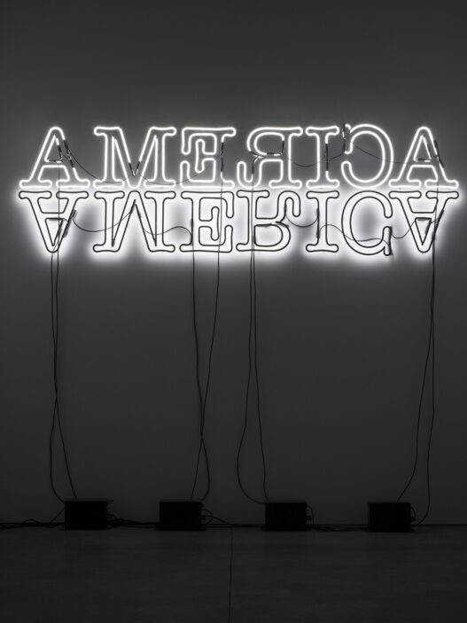 Double America, 2012. Courtesy of the artist; Hauser & Wirth, New York; Regen Projects, Los Angeles; Thomas Dane Gallery, London; and Chantal Crousel, Paris. Photo: Farzad Owrang. © Glenn Ligon.