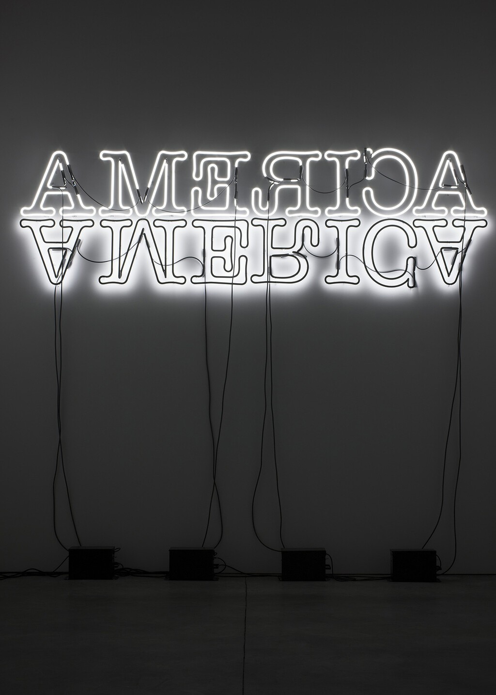 Double America, 2012. Courtesy of the artist; Hauser & Wirth, New York; Regen Projects, Los Angeles; Thomas Dane Gallery, London; and Chantal Crousel, Paris. Photo: Farzad Owrang. © Glenn Ligon.