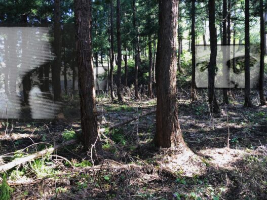 Christian Boltanski, Les Regards. © Agence Eva Albarran, Charlotte Richard, Paris.