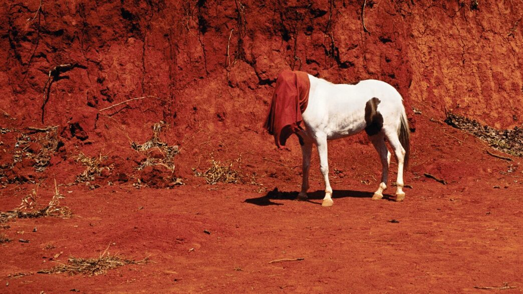 Cinthia Marcelle, O conversador, 2005. © Cinthia Marcelle. Photo: Cinthia Marcelle.