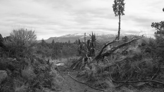 Pao Houa Her, untitled. From the “Mt. Shasta” series, 2021–2022. Courtesy of the artist and Bockley Gallery, Minneapolis. Produced with support from the Walker Art Center.