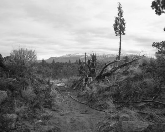 Pao Houa Her, untitled. From the “Mt. Shasta” series, 2021–2022. Courtesy of the artist and Bockley Gallery, Minneapolis. Produced with support from the Walker Art Center.