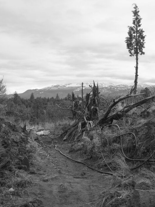 Pao Houa Her, untitled. From the “Mt. Shasta” series, 2021–2022. Courtesy of the artist and Bockley Gallery, Minneapolis. Produced with support from the Walker Art Center.