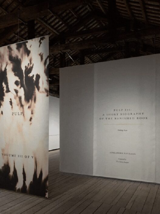 View of Shubigi Rao, Pulp III: A Short Biography of the Banished Book, Singapore Pavilion, 59th Venice Biennale, 2022. Commissioned by National Arts Council, Singapore, curated by Ute Meta Bauer. Exhibition design: Laura Miotto.