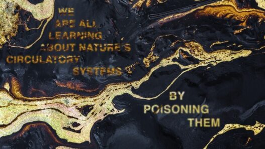 Oliver Ressler, We are all learning about nature’s circulatory systems by poisoning them, 2020. Digital print on dibond behind museums glass, framed, 102 x 68 cm.