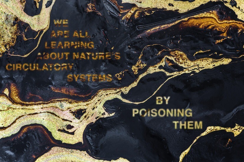 Oliver Ressler, We are all learning about nature’s circulatory systems by poisoning them, 2020. Digital print on dibond behind museums glass, framed, 102 x 68 cm.