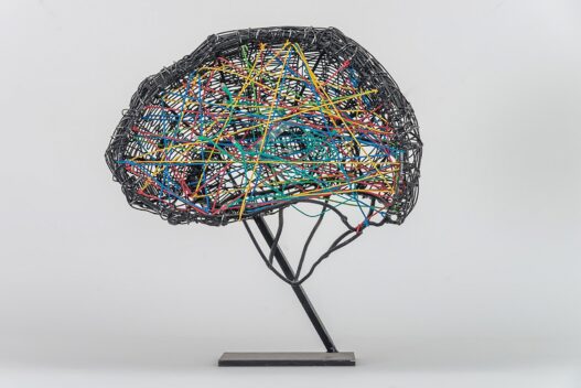 E. R. Nele, Model for Brain, circa 2004. Large sculpture for Max Planck Institute for Brain Research. © Museum Angewandte Kunst.