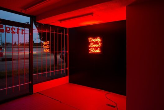 Julia Rose Sutherland, Flesh Economics, 2018. Neon sign, 62.6 x 62.2 x 15.2 cm. Courtesy of the artist. Photo: Mike Love. The Power Plant.