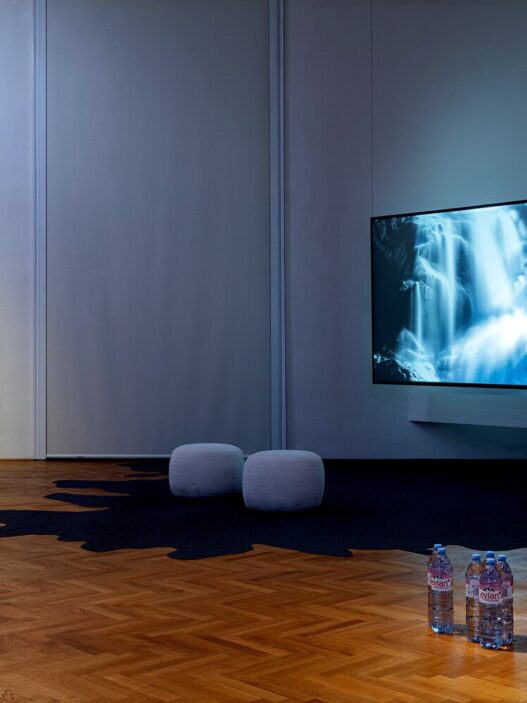 View of The Taste of Water, by participants of the PhD in Practice, exhibit Gallery Vienna. Courtesy of Academy of Fine Arts Vienna. Photo: Simon Veres.