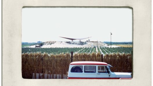 Walter White, Max E. Willcockson House. Indio, California, 1958. Photograph, 10x15.54 inches. Walter S. White papers, Architecture and Design Collection; Art, Design & Architecture Museum, UC Santa Barbara.