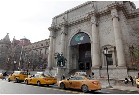 Landmark Closures at American Museum Reflect Repatriation Push