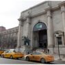 Landmark Closures at American Museum Reflect Repatriation Push