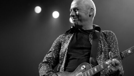 Mark Knopfler Guitar Collection Auction Raises Millions for Charity