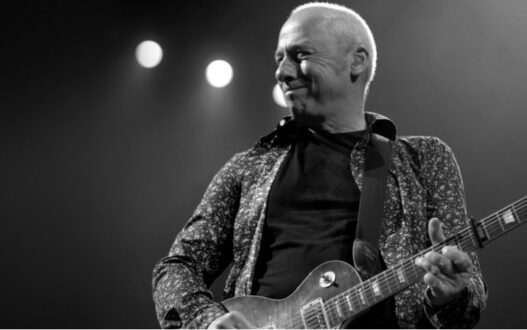 Mark Knopfler Guitar Collection Auction Raises Millions for Charity