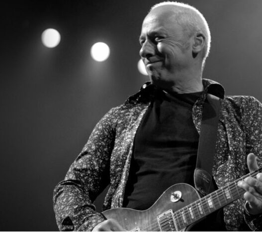 Mark Knopfler Guitar Collection Auction Raises Millions for Charity