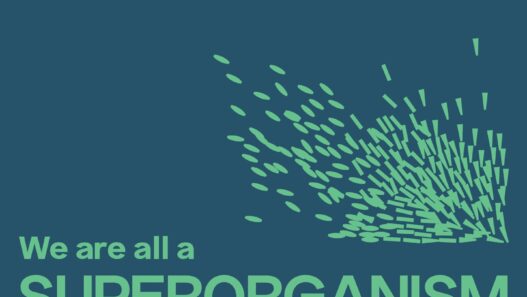 Superorganism Event in Tartu: Art, Ecology, and Community Explored