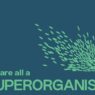 Superorganism Event in Tartu: Art, Ecology, and Community Explored