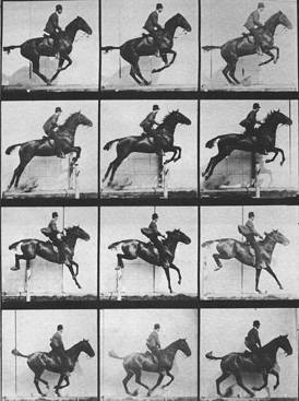 Eadweard Muybridge, Sequence of a Horse Jumping, 1904.