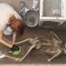 New Pompeii Discovery: Archaeologists Unearth Remains of Two Tragic Victims