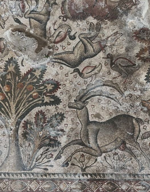 Turkey Unearths Largest Ancient Mosaic Depicting a Roman Hunting Scene